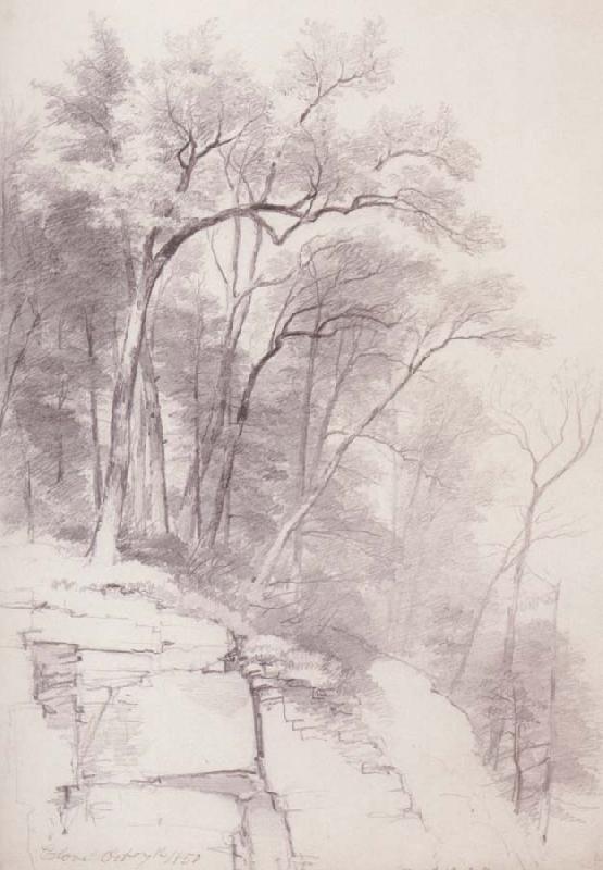 Asher Brown Durand Study of Trees and Rocks,kaaterskill Clove oil painting image